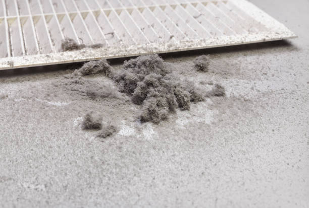 Best Residential Air Duct Cleaning  in Freeburg, IL