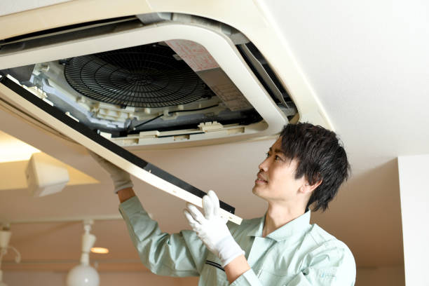 Best Professional Duct Cleaning Services  in Freeburg, IL