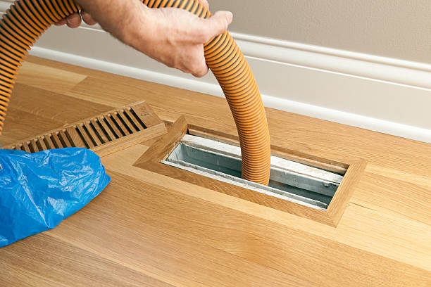 Best Home Air Vent Cleaning  in Freeburg, IL